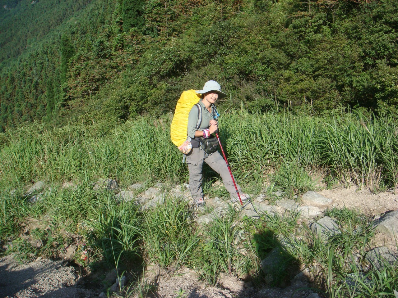 天地在线：全力协调加期审计工作