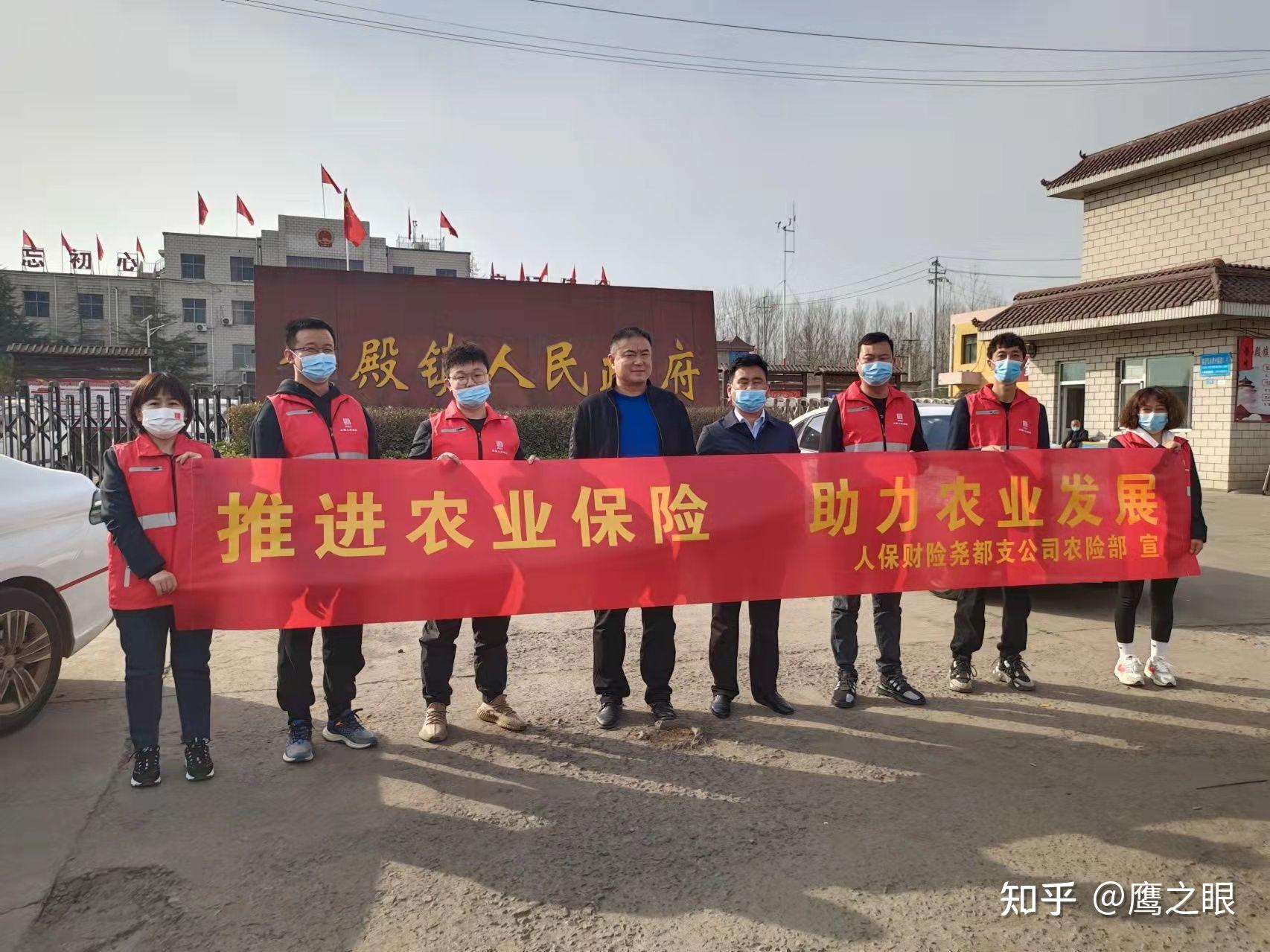 2025年大米行业发展现状及未来趋势展望分析_人保服务,人保财险 
