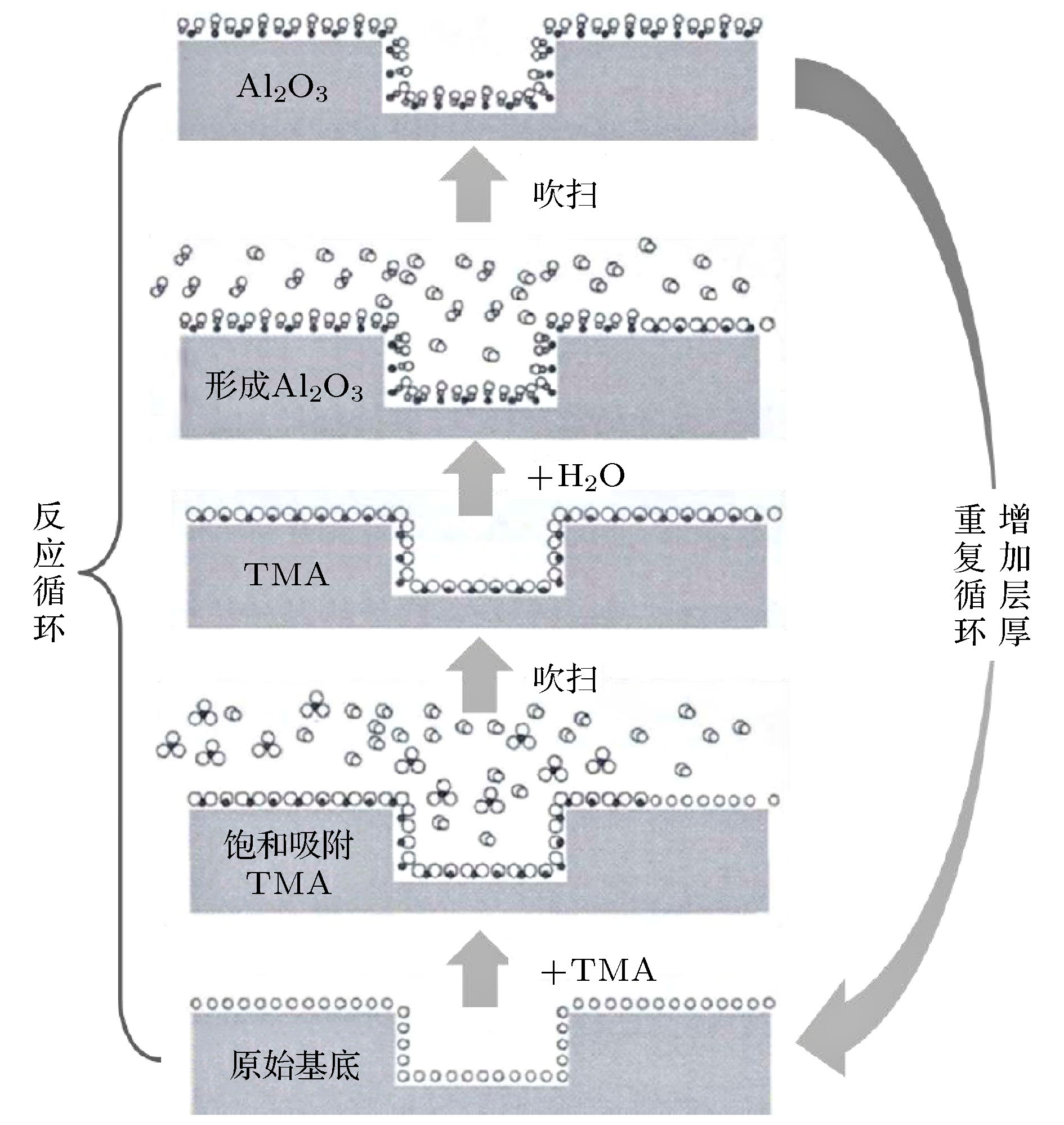 晶合集成获得实用新型专利授权：“一种气体喷淋头及化学气相沉积装置”