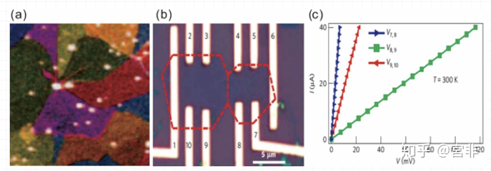 晶合集成获得实用新型专利授权：“一种气体喷淋头及化学气相沉积装置”