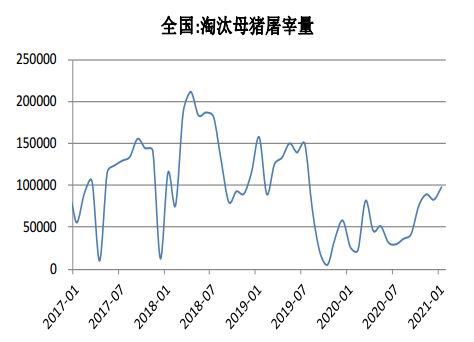 玉米期货3月26日主力小幅下跌0.71% 收报2385.0元