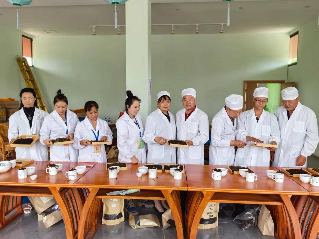 保险有温度,人保财险政银保 _2024年普洱茶行业发展现状、竞争格局及未来发展趋势与前景分析