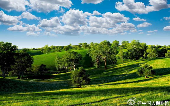 2025天然气行业市场未来前景:绿色转型与全球协同_人保服务,人保财险