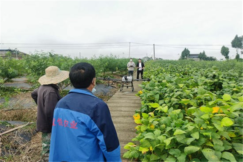 2025天然气行业市场未来前景:绿色转型与全球协同_人保服务,人保财险