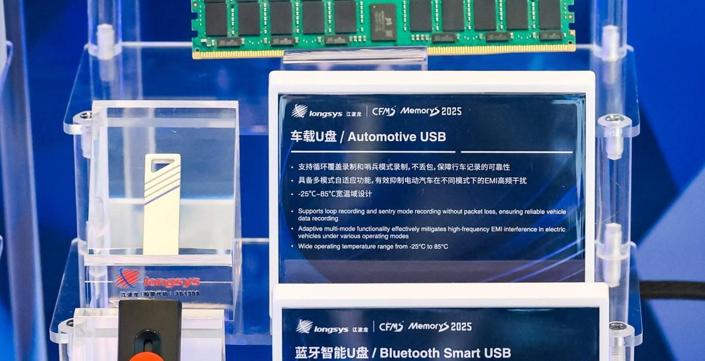 “技术升级+国产替代” 双轮驱动，2025年存储芯片行业投资前景预测_人保伴您前行,人保财险 