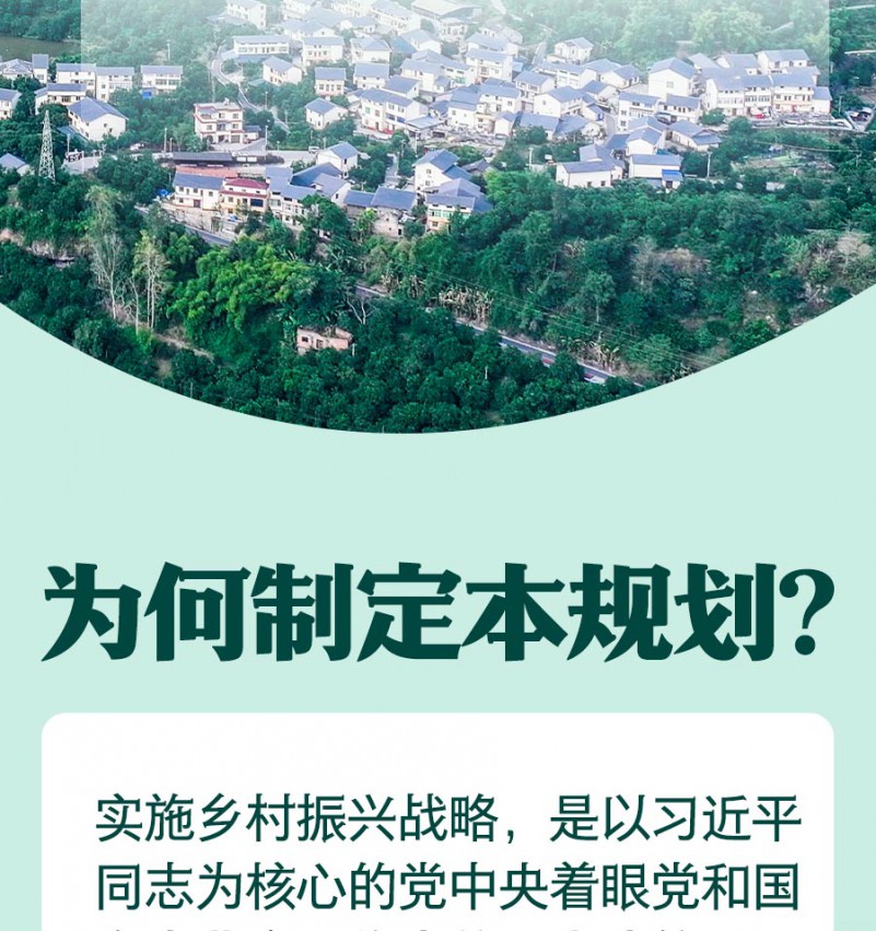 保险业发力推进乡村全面振兴