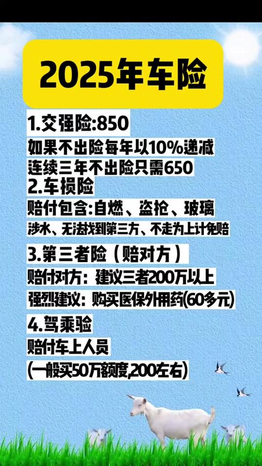 人保车险 品牌优势——快速了解燃油汽车车险,保险有温度_2025洗护用品行业:从“功能导向”向“体验导向”跃迁的关键期