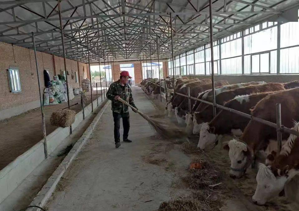“十五五”期间，吉林省如何用冰雪旅游撬动万亿级产业?_人保财险 ,拥有“如意行”驾乘险，出行更顺畅！