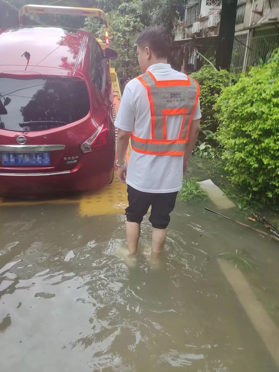 2025年运动护具行业:在变革中捕捉结构性机遇_人保车险,人保财险