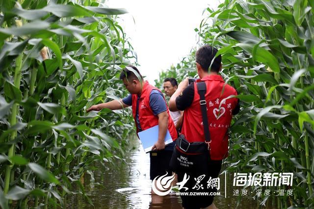 人保护你周全,人保有温度_2025-2030年中国刀具出海全景分析与市场突围战略研究