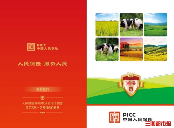 2025年中国消毒器行业：健康消费理念深化，定制化产品潜力巨大_保险有温度,人保财险 