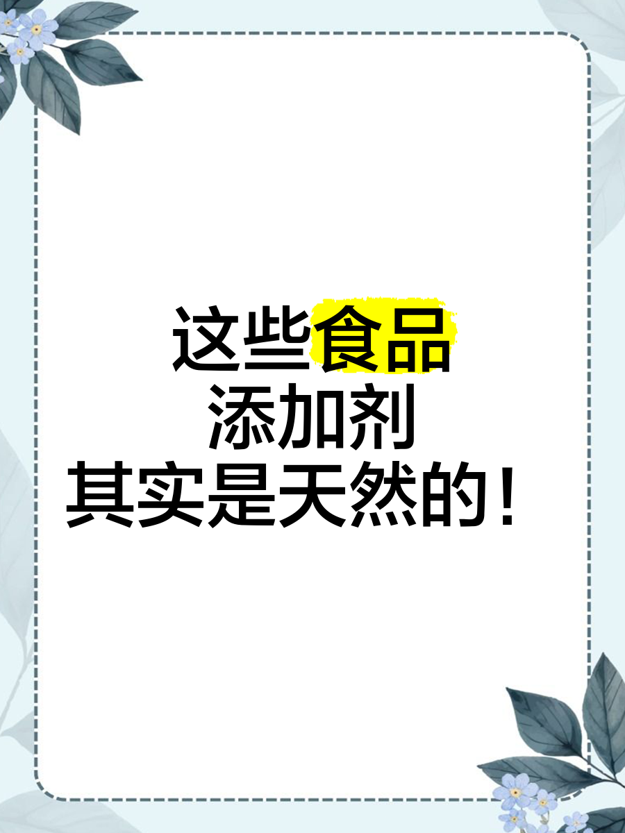 天然提取物崛起：2025-2030年中国食品添加剂行业的“植物基”新蓝海_人保伴您前行,人保财险 