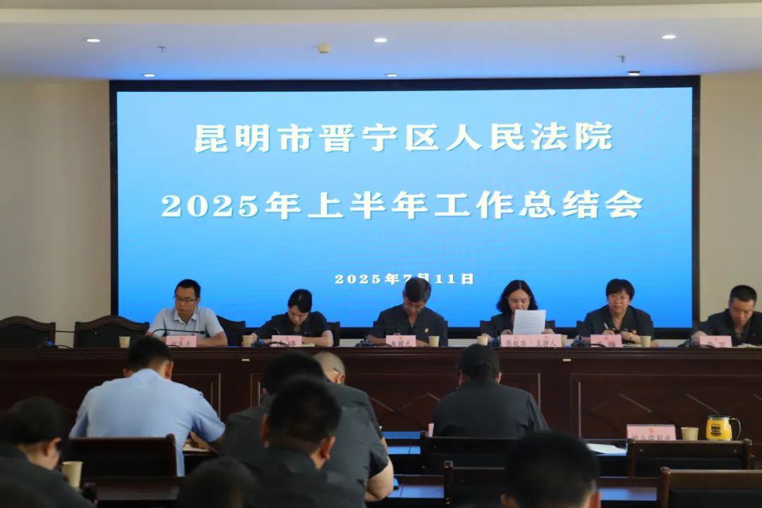 盘龙药业2025上半年业绩创双高并首推中期分红 多维布局筑牢增长根基