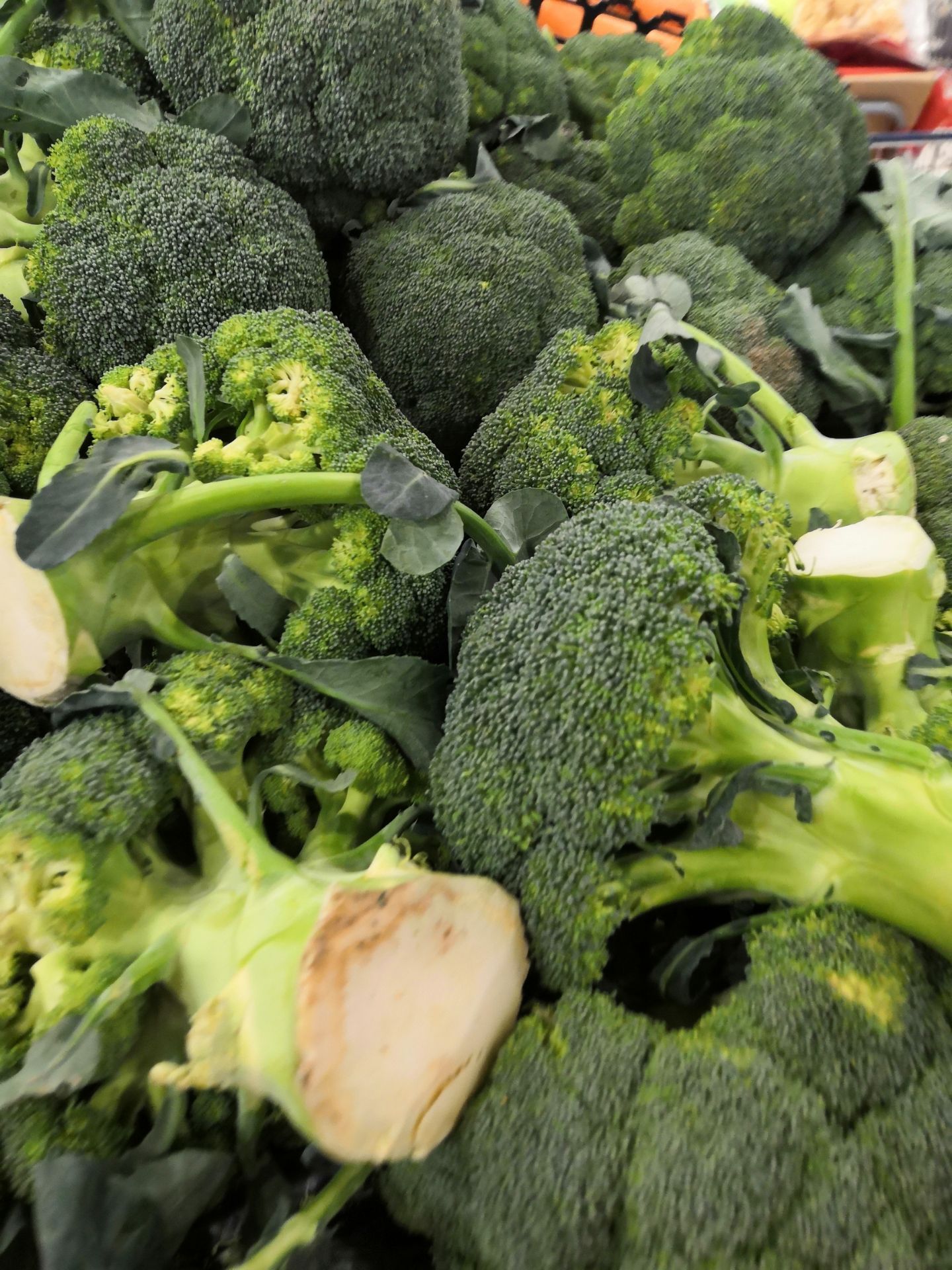 2025中国蔬菜花卉行业：从“靠天吃饭”到“可控生长”_人保财险政银保 ,人保车险