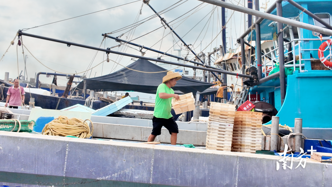渔船最快今晚归来 开渔后海鲜更便宜
