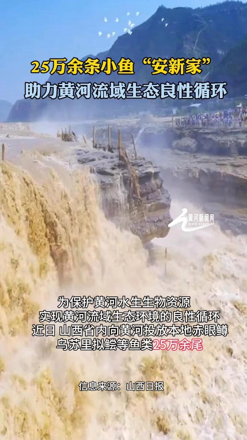 山东扎实推动黄河流域生态保护