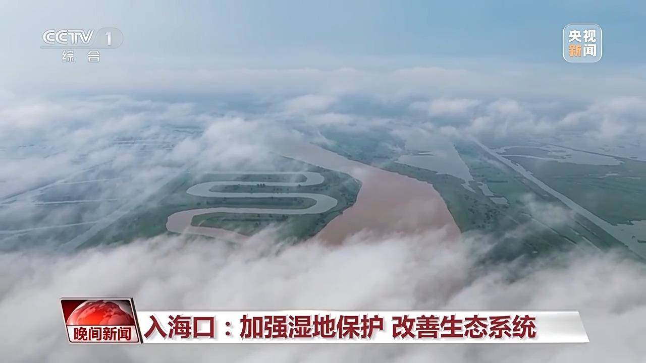 山东扎实推动黄河流域生态保护