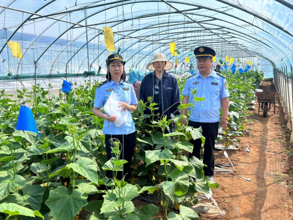 农业农村部部署秋粮作物中后期重大病虫害防控工作