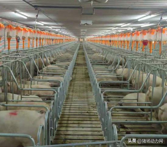 正邦科技：截至2025年8月20日股东总数为15.32万户