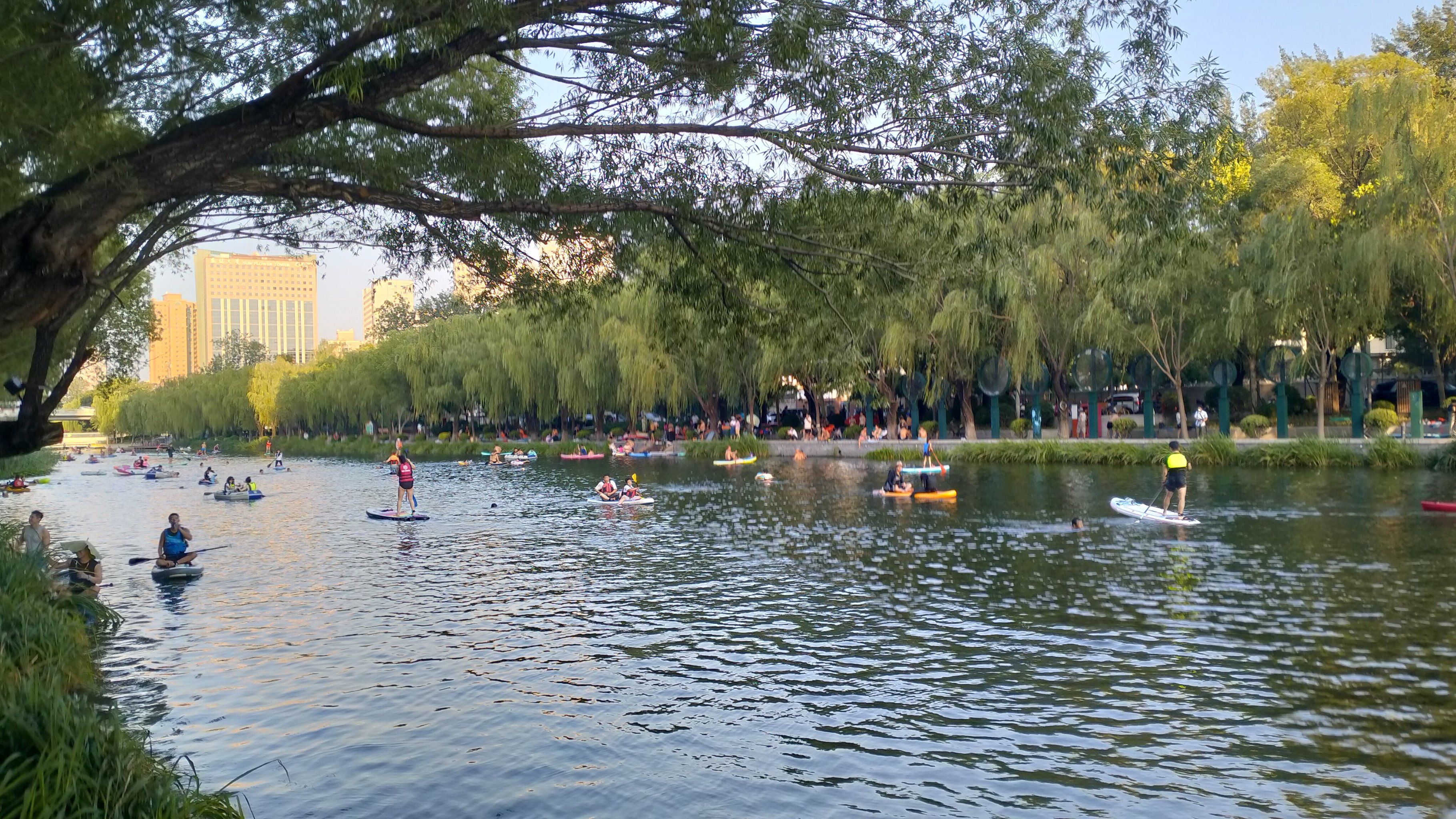 亮马河上的桨板多到“下不去水”