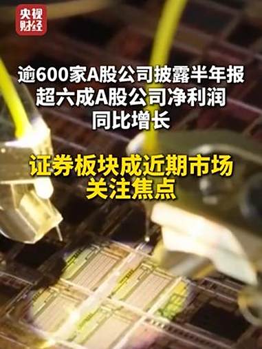 上半年大赚逾1000亿元，A股这一板块要“起飞”？