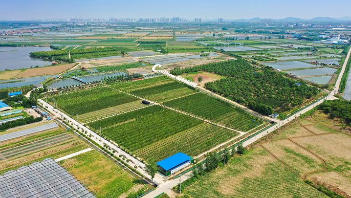 四川：开展财政资金“先投后股”试点