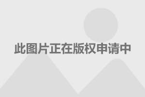 二季度汽车经销商调研报告：超半数品牌返利兑现周期缩至30天内