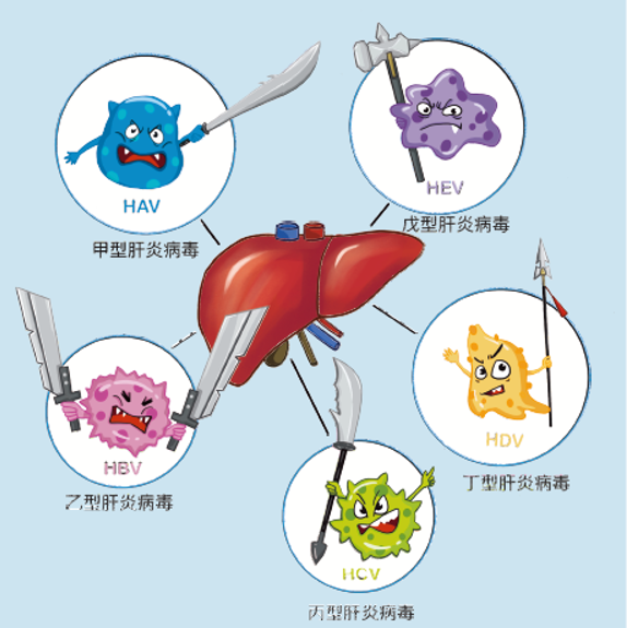万孚生物：星火计划推进肝炎筛查防治