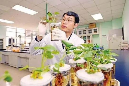 浩云科技：公司目前无区块链相关业务