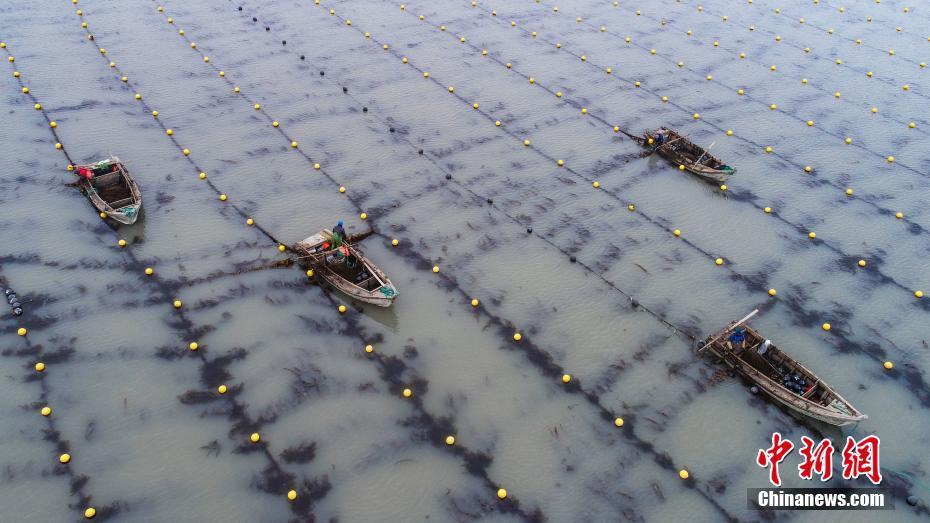 海上新山东图景