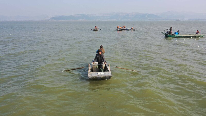 海上新山东图景