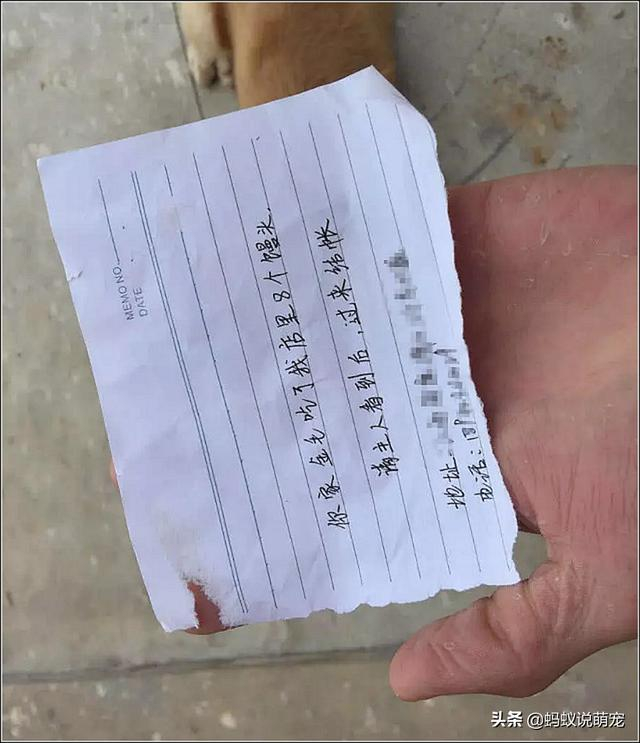 【金融头条】企业都好起来了？不是AAA发债都拿不出手