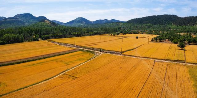 山东政商要情(9.8―9.14)