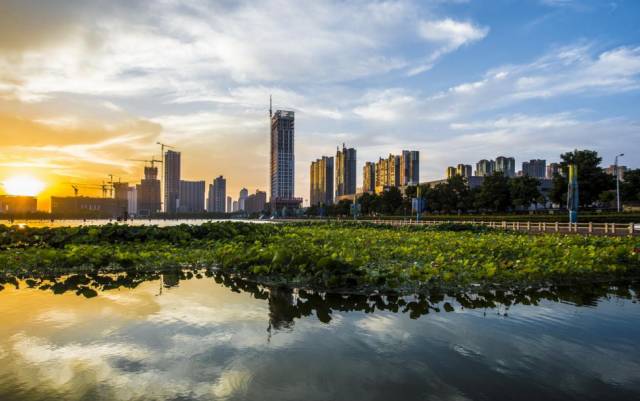 山东政商要情(9.8―9.14)