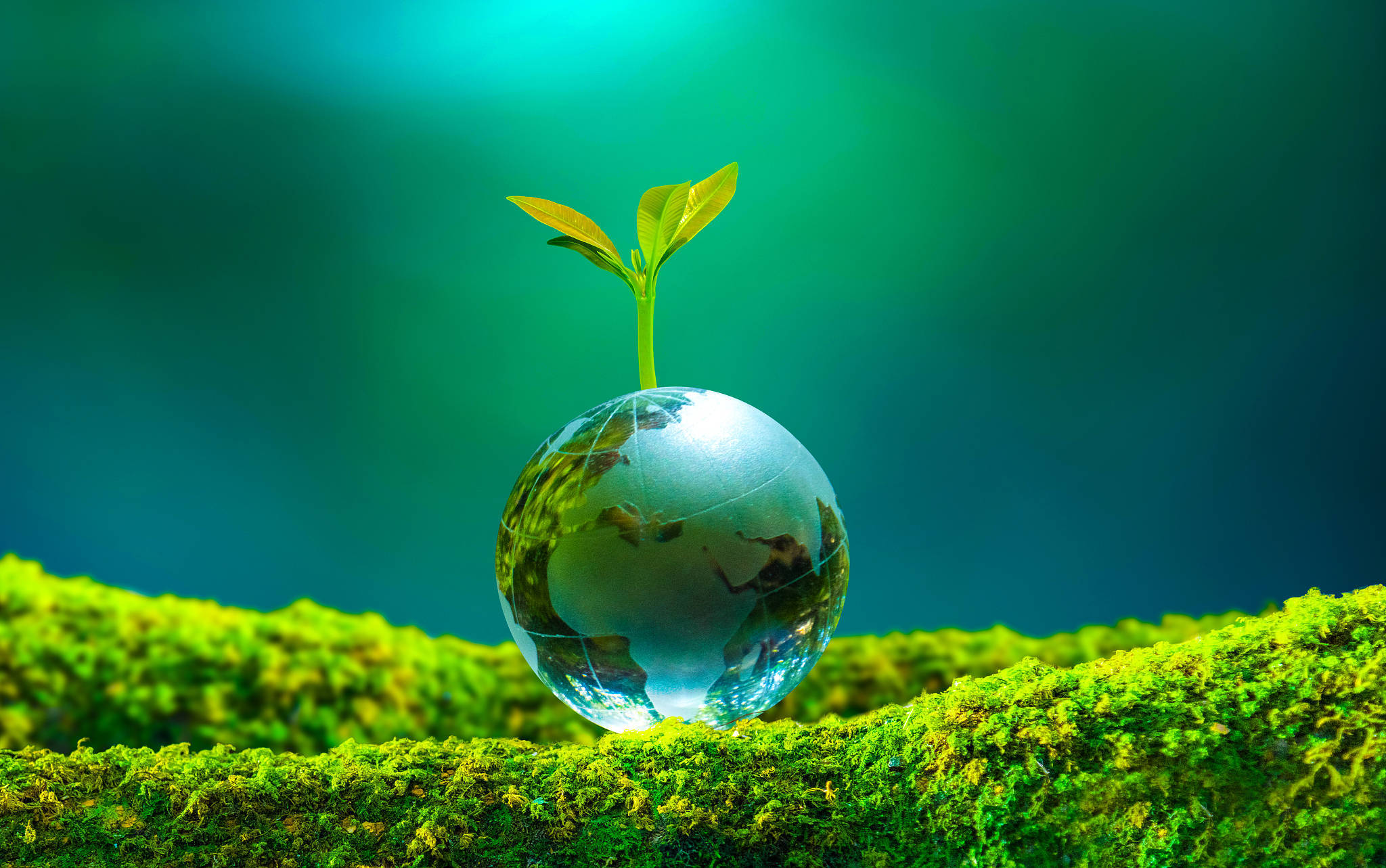 生态环境部：借助大数据等穿透式执法，推动全国机动车检验检测机构问题率降至6.9%