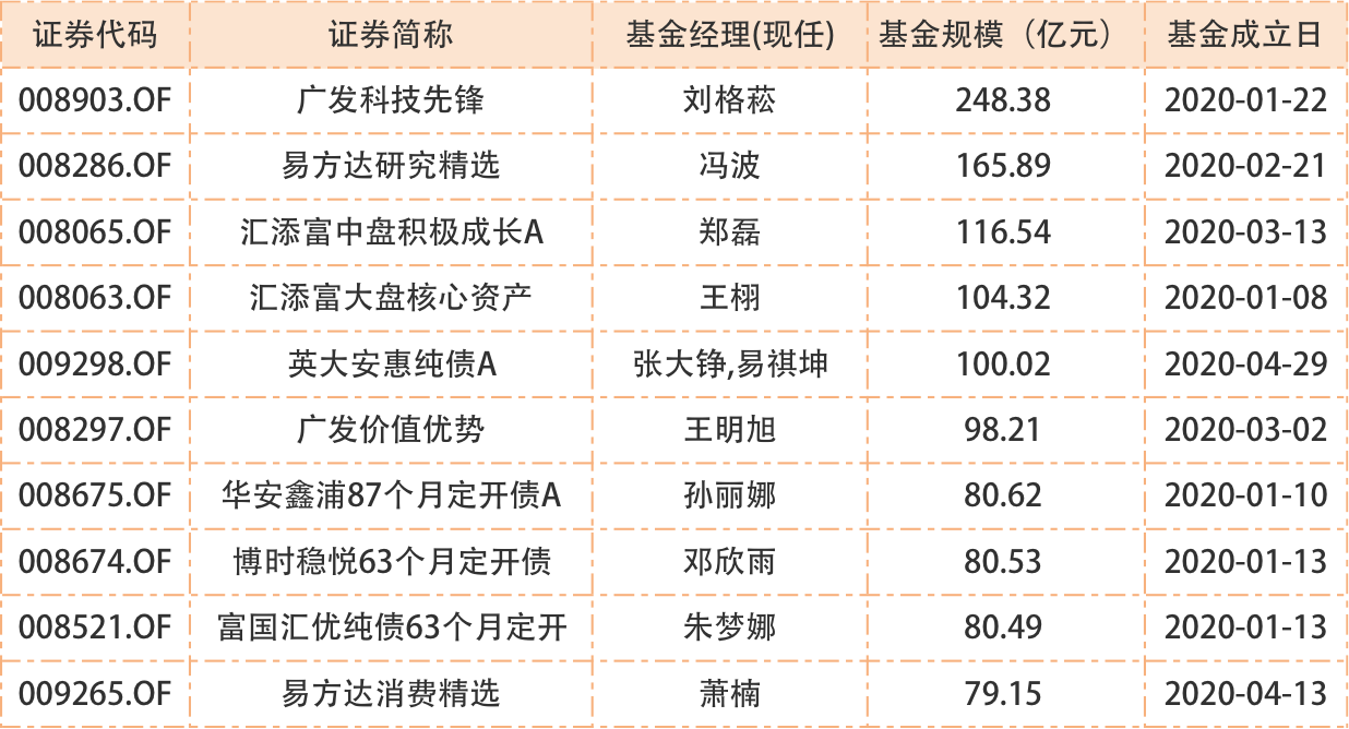 谁是“日光基”的幕后推手？
