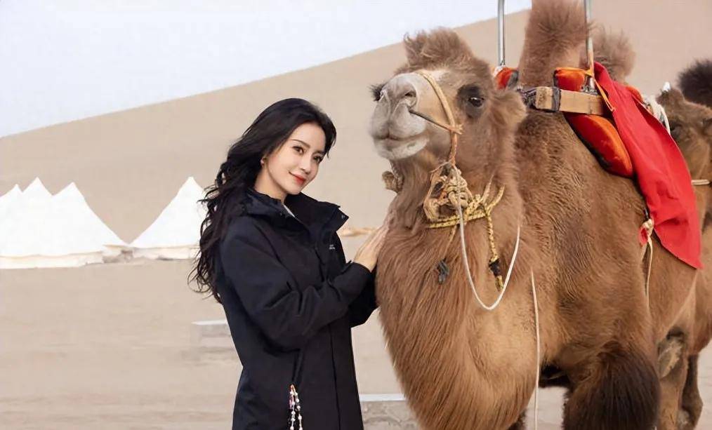 骆驼携手Angelababy，推出联名款