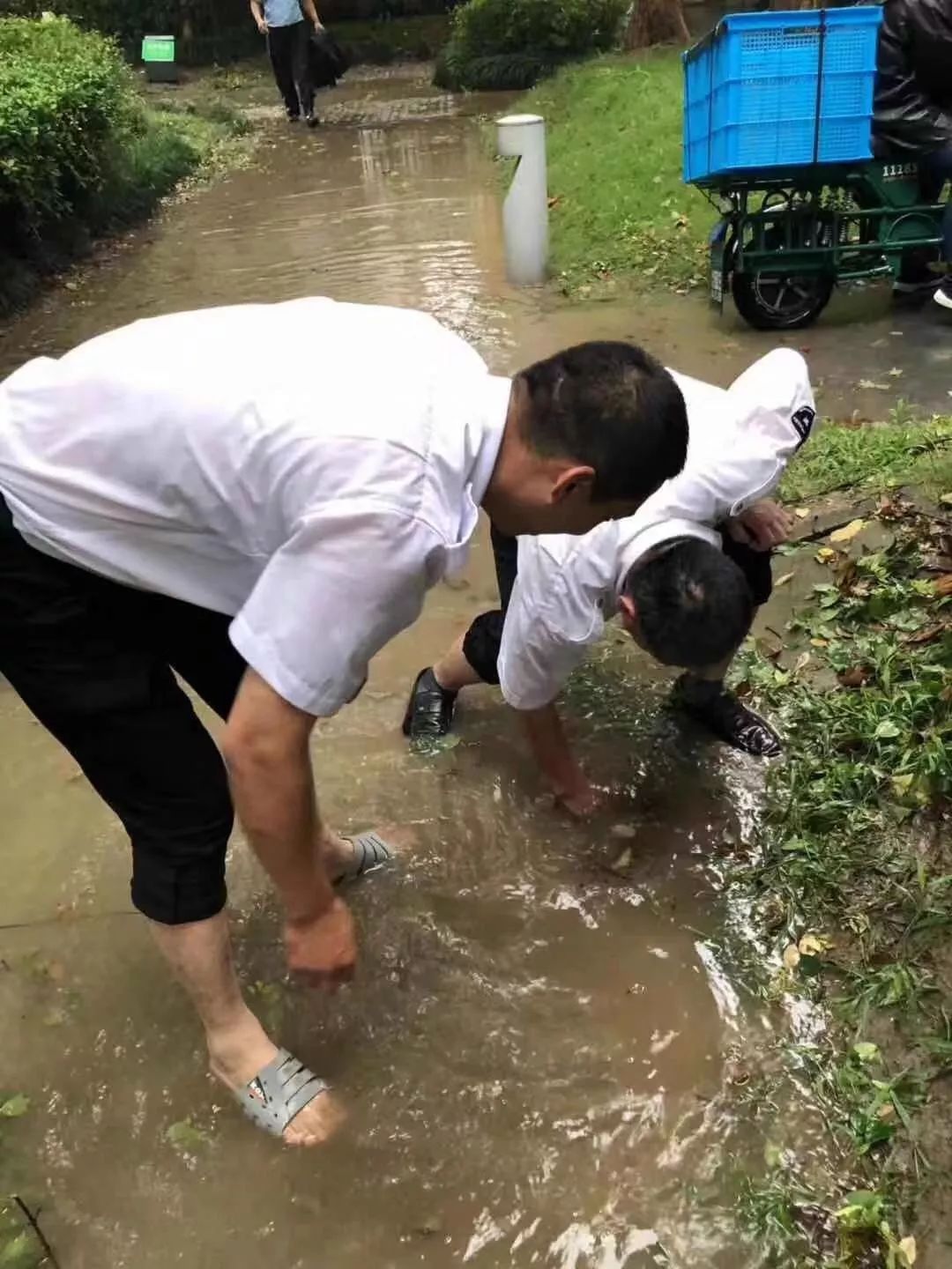 唠“科”话丨谁给“风王”踩了“刹车”,打了“转向”,又是咋知道的?