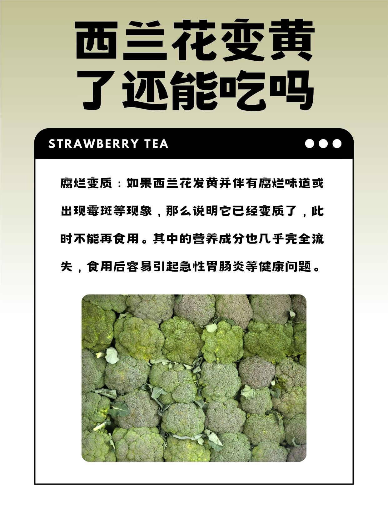 四问速冻西兰花:为何冻?如何冻?营养价值几何?谁在吃?