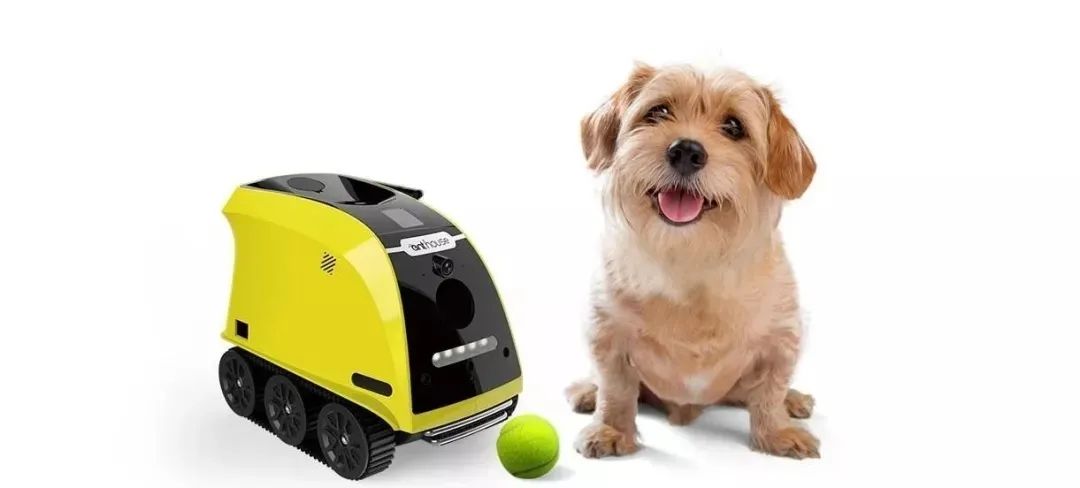 中国移动布局宠物科技 “移动爱宠”产品已在17个省份启动试点