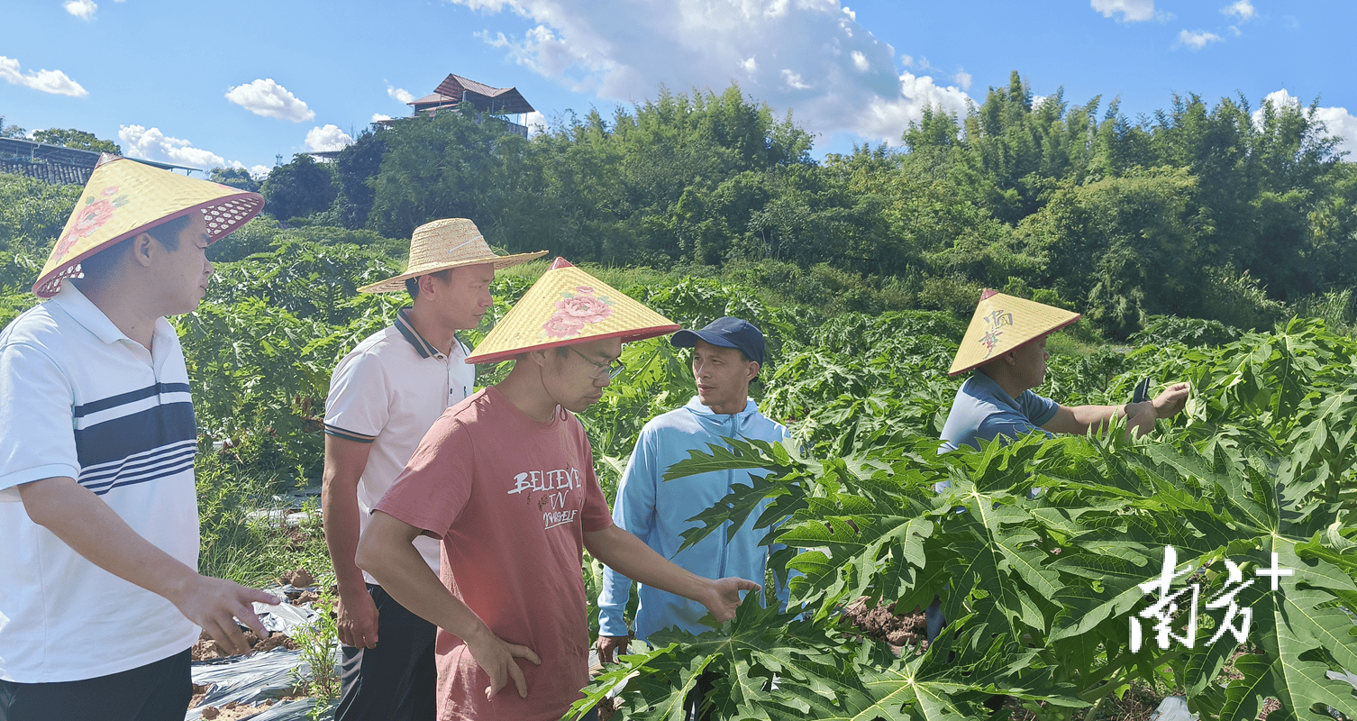 农业科学发现大模型大幅提升科研人员研发效率