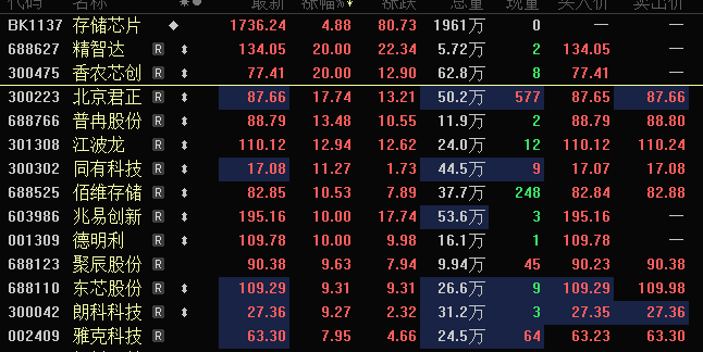 存储芯片概念拉升 江波龙、德明利等续创新高