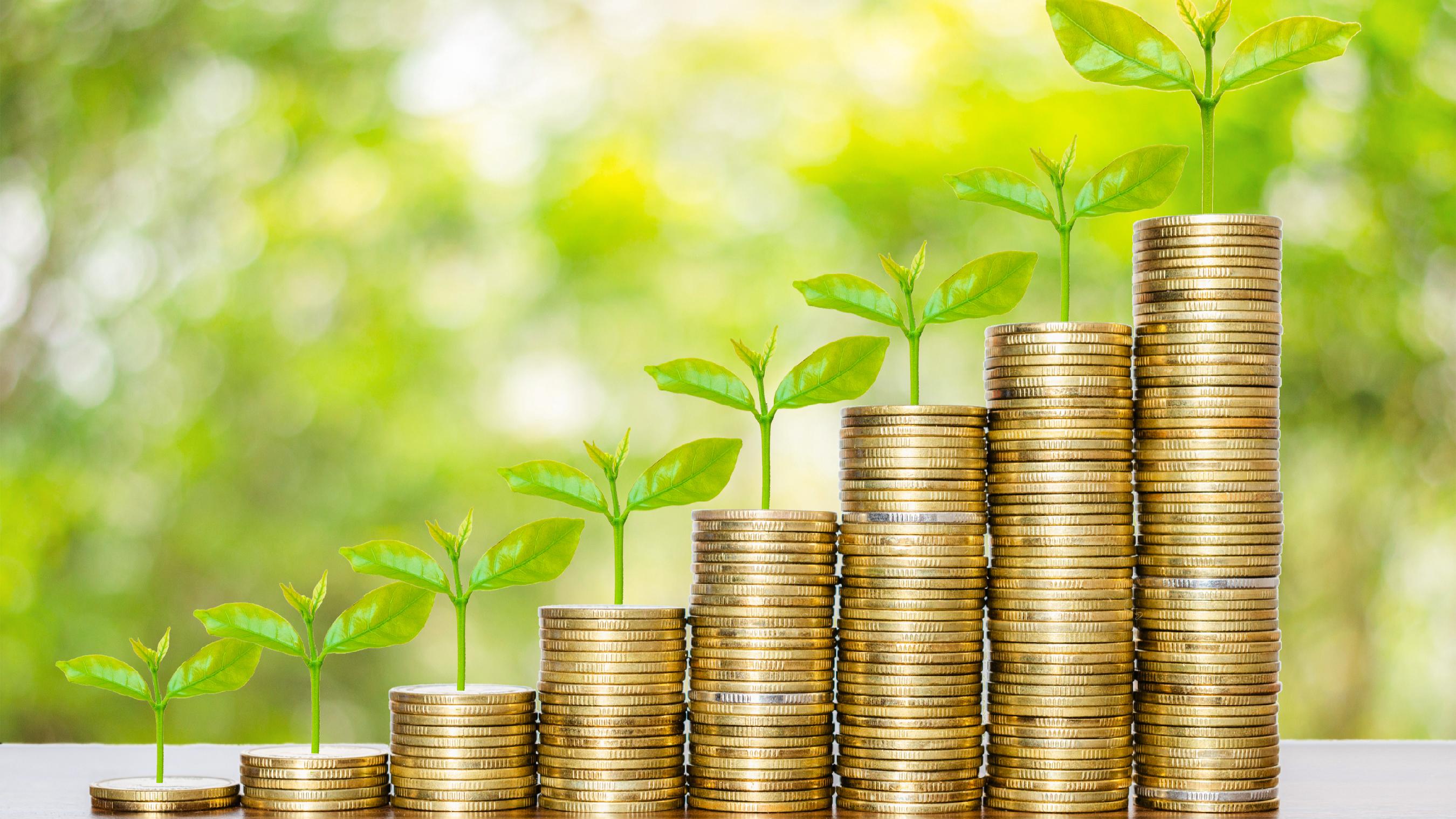 锅圈(02517.HK)连续2日回购,累计回购311.84万股