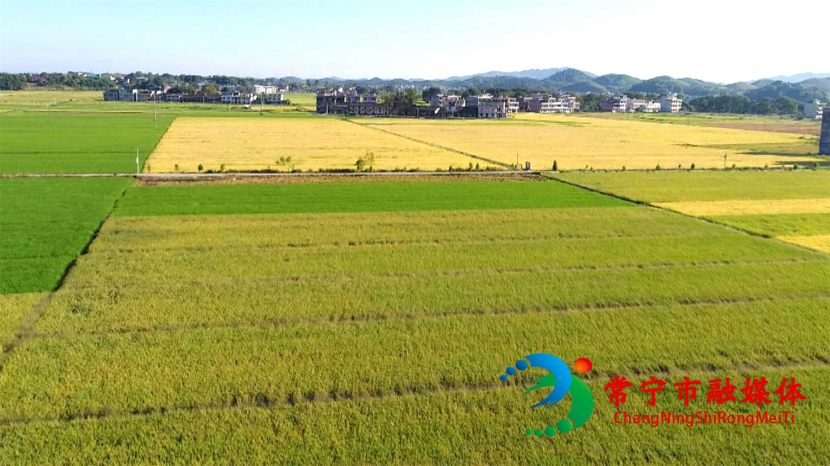 大力支持新疆农业农村高质量发展 扎实有力抓好推进乡村全面振兴各项工作