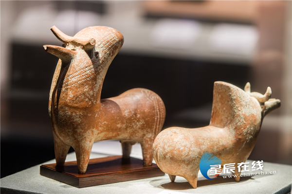 十月行记|安阳识骨记:三千年文明的当代回响