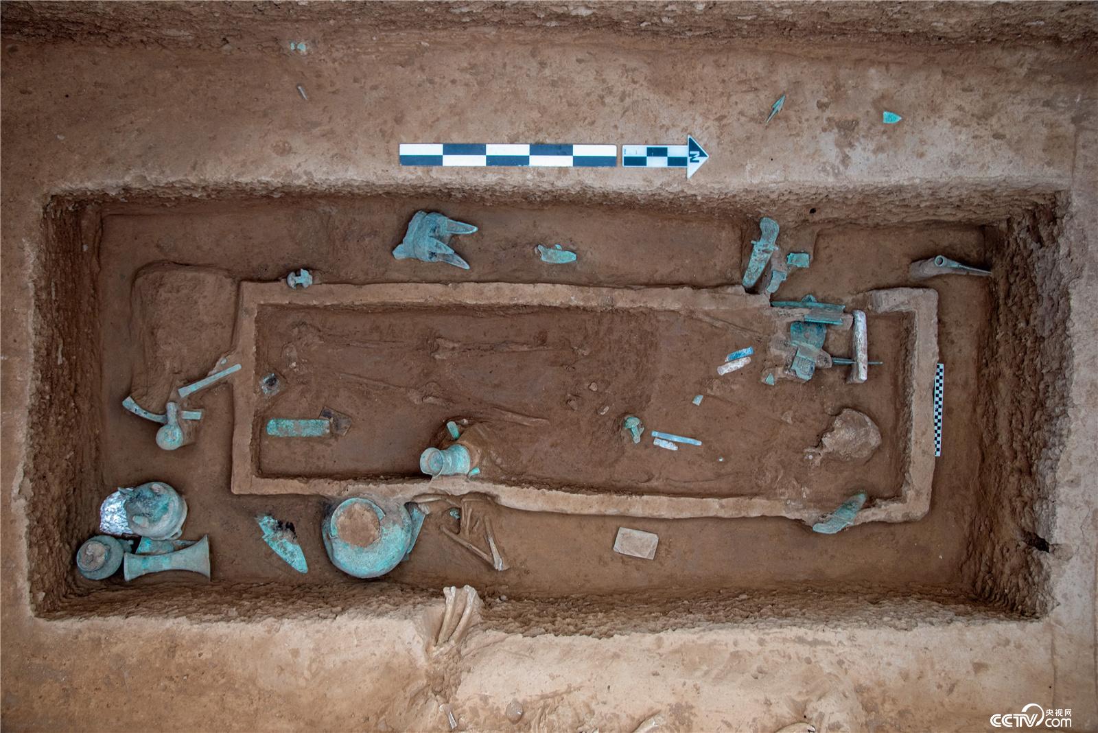 十月行记|安阳识骨记:三千年文明的当代回响