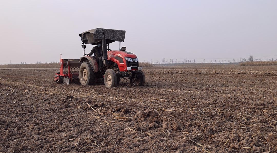 农业农村部发布黄淮海小麦应对连阴雨抗湿晚播技术意见