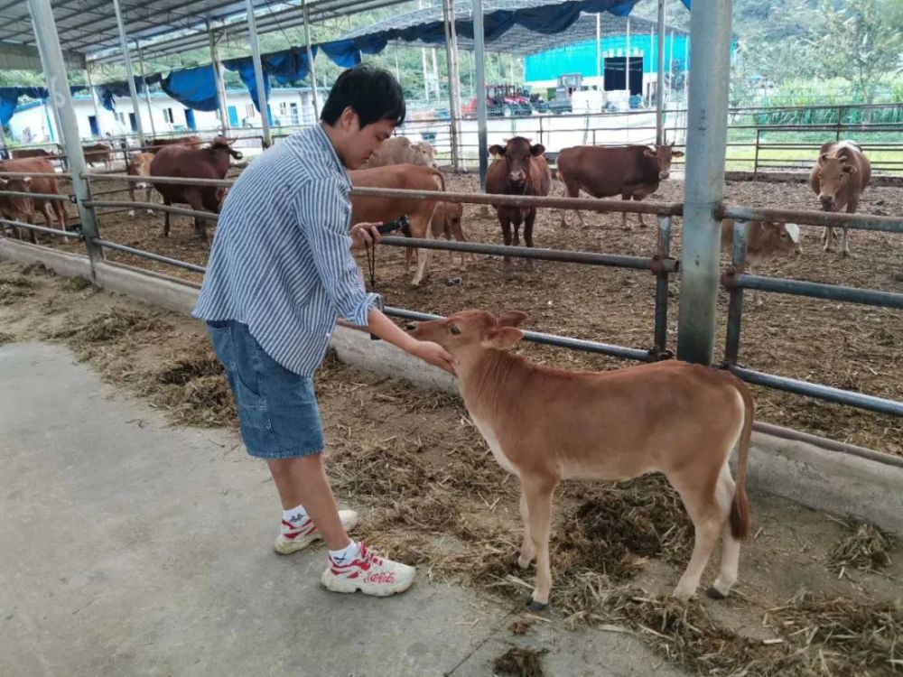 罗 牛 山:大东海赔偿案已计提负债251.11万元