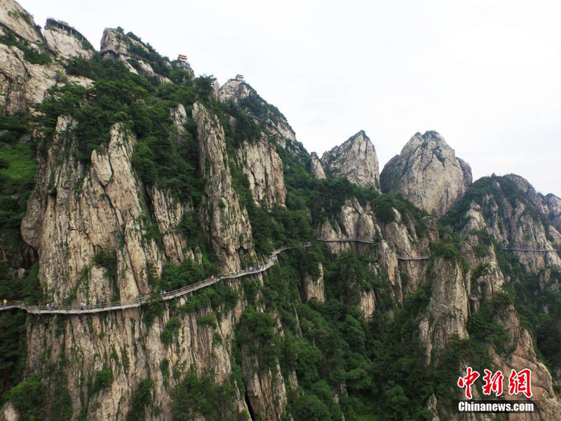 罗 牛 山:大东海赔偿案已计提负债251.11万元