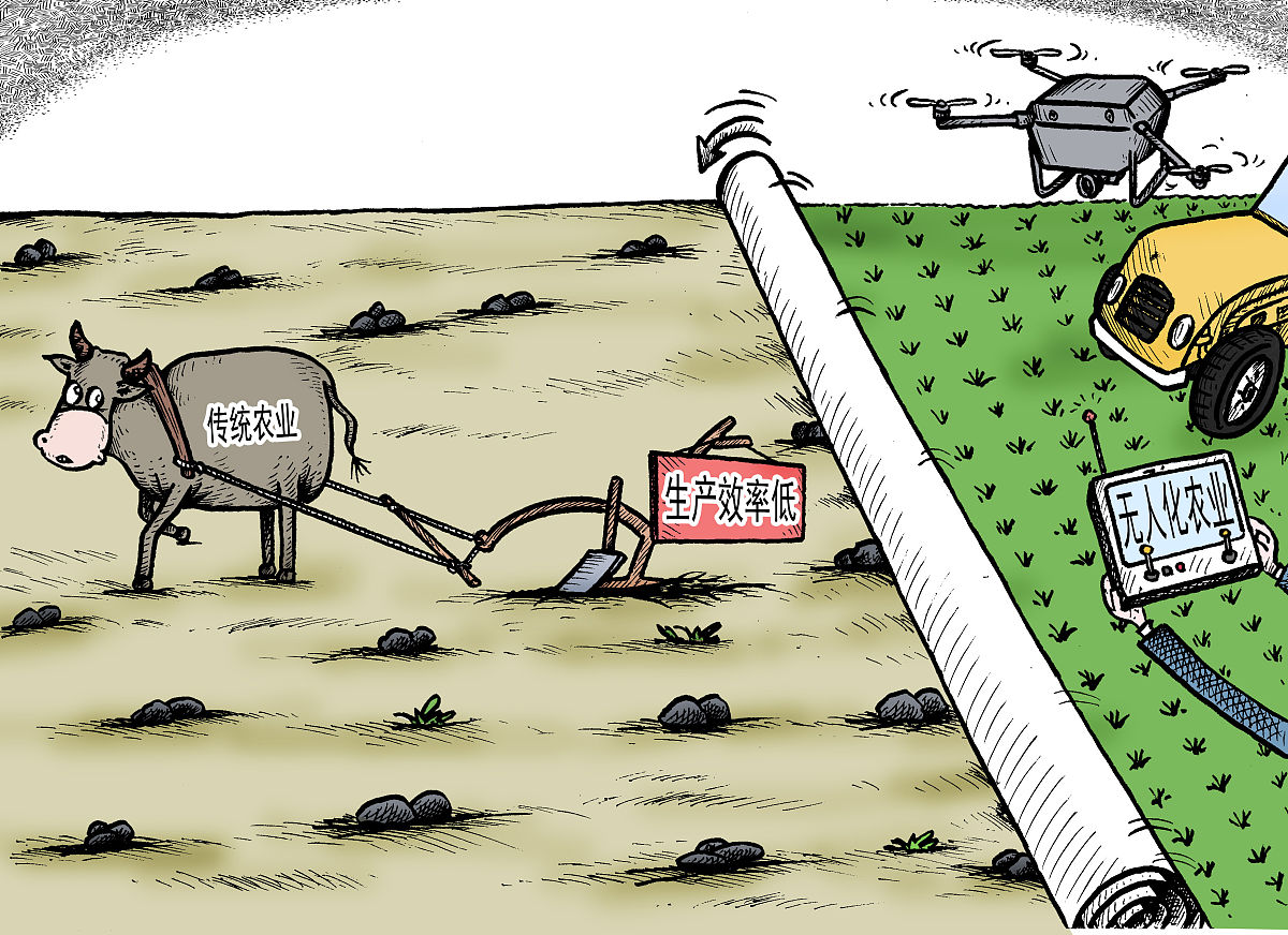 多地积极应对阴雨天气 力保秋粮丰产归仓